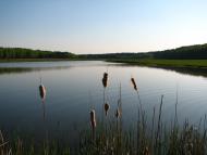 Авдіївка - Останні фото