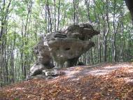 Видра з panoramio.com