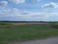 Сторожевое - Последние фото