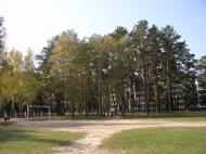 Гончарівське з panoramio.com