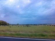 Головниця з panoramio.com