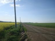 Черепова з panoramio.com