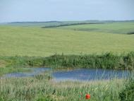 Любашівка - Останні фото