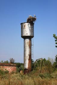 Довгиничі з panoramio.com