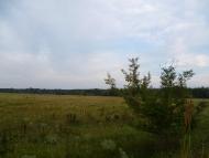 Матяшівка з panoramio.com