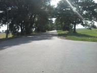 Терехівка з panoramio.com