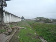 Буйволівці з panoramio.com