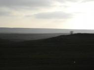 Белинское - Последние фото