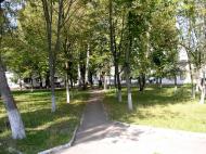 Гончарівське з panoramio.com