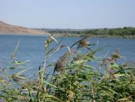 Новокраснівка - Останні фото