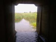 Турійськ з panoramio.com