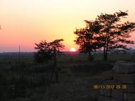 Тимашівка з panoramio.com