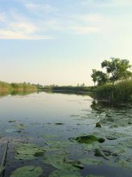 Вища Дубечня з panoramio.com