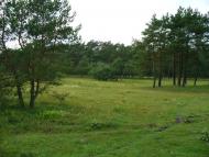 Полуничне з panoramio.com