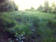 Буда-Бабинецька - Останні фото