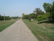 Весняна Квітка з panoramio.com