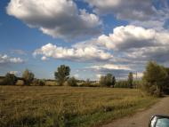 Приворіття - Останні фото