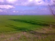 Ясна Зоря з panoramio.com