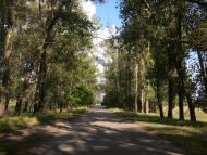 Потоки з panoramio.com