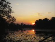 Вища Дубечня з panoramio.com