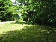 Капітанівка з panoramio.com