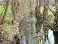 Бобринець з panoramio.com