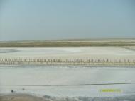 Сиваш з panoramio.com