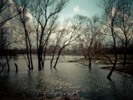 Слов'яносербськ з panoramio.com