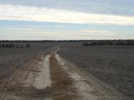 Жданов - Последние фото