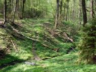 Глинне - Останні фото