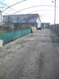 Дядьковичі з panoramio.com