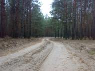 Придонецьке з panoramio.com