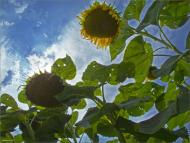 Маяк з panoramio.com