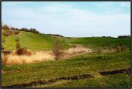 Цикали - Останні фото