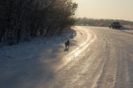Докучаєвськ з panoramio.com