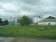 Війтівці з panoramio.com