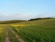 Лепесівка з panoramio.com