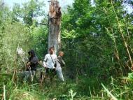 Букине з panoramio.com