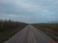 Шершенівка з panoramio.com