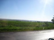 Маломиколаївка з panoramio.com