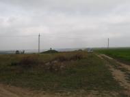 Панасівка з panoramio.com