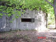 Дев'ятир з panoramio.com