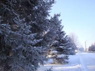 Машівка - Останні фото