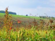 Коротич з panoramio.com