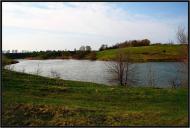 Цикали - Останні фото