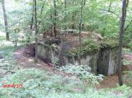 Дев'ятир з panoramio.com