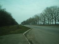 Шестакове з panoramio.com