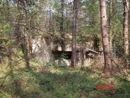 Дев'ятир з panoramio.com