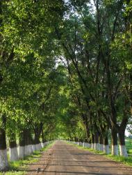 Веселе з panoramio.com