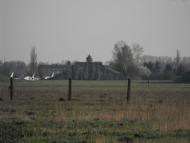 Красносілка з panoramio.com